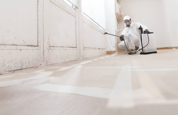 24/7 Emergency Mold Removal experts in Rocky Mount, NC