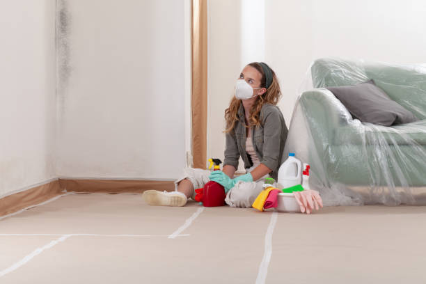 Reliable Mold Removal contractor in Rocky Mount, NC by Car Mold Remediation
